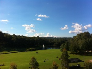 IMG_0319