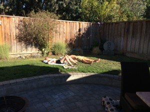 IMG_0473_sun