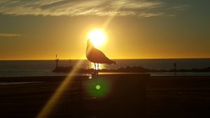 flinders-glenelg-sunset