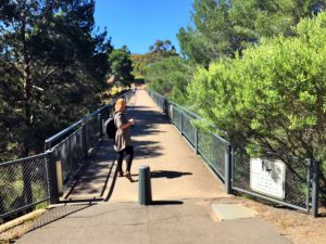 flinders-campus-2