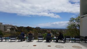 view