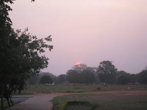 IMG_3770