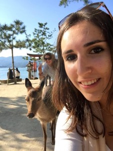 deer